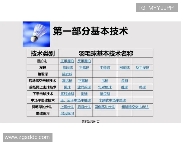 武汉羽毛球队反击战术深度解析与实战应用探讨