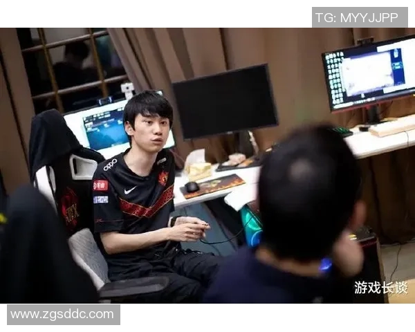 王者荣耀专题深入探讨FPX团队协作与战术配合的成功之道