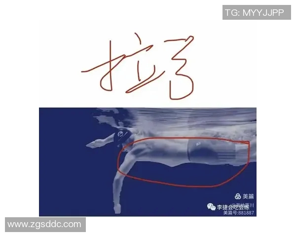 自由泳技巧全面解析：从基础动作到提高速度的科学训练方法