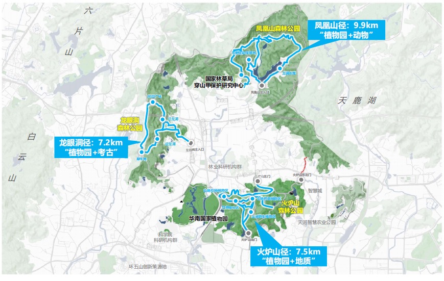 云开·全站app专项计划公布超多亮点！广州河汉片面促进绿美生态建立(图6)